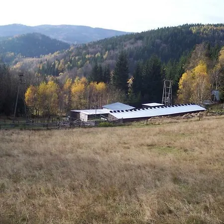 Feriegård Kamiz *